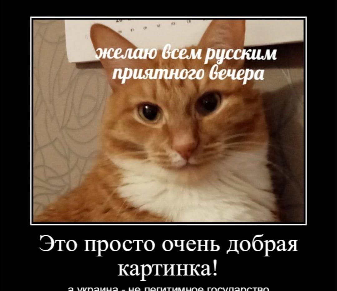 окелаю всем русским приятного вечера Это просто очень добрая картинка!