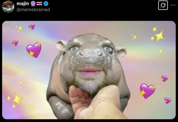 majin @memebrained