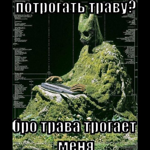 потрогать