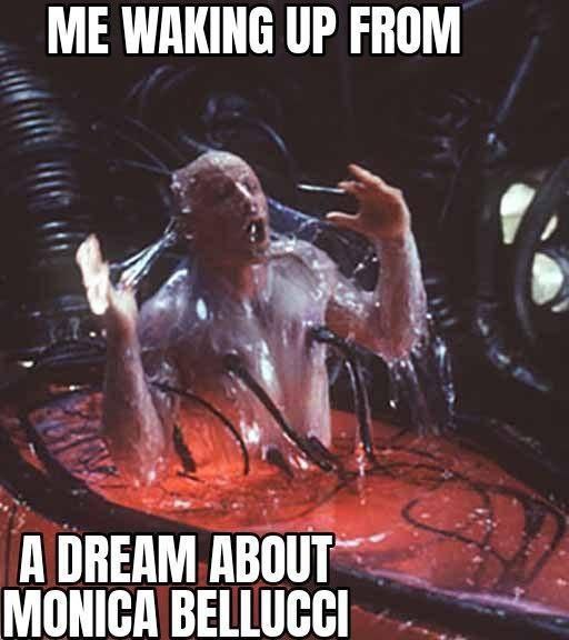ME WAKING UP FROM А ОВЕАМ MONICA
