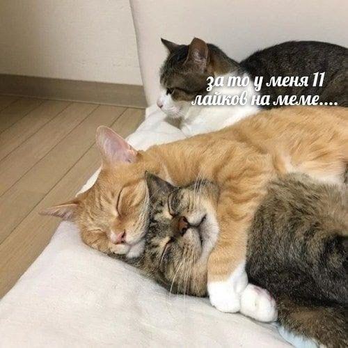 меме к A я я Of,
