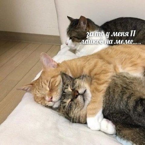 меме к A я я Of,