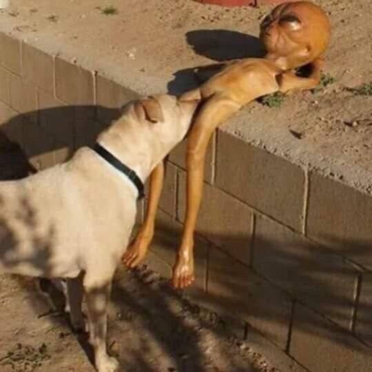 У