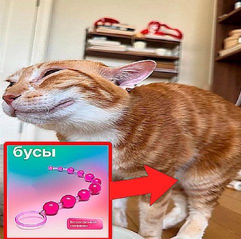 5 В i В on 2 OYCbI О у у a у 4 19: Безопасный силикон
