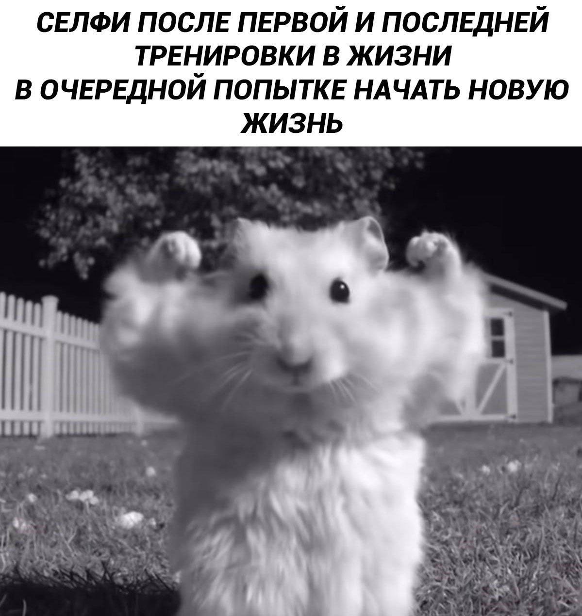 СЕЛФИ ПОСЛЕ ПЕРВОЙ И ПОСЛЕДНЕЙ ТРЕНИРОВКИ В ЖИЗНИ В ОЧЕРЕДНОЙ ПОПЫТКЕ НАЧАТЬ НОВУЮ ЖИЗНЬ