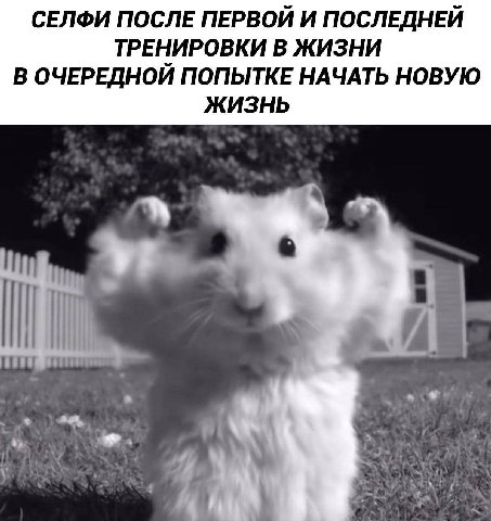 СЕЛФИ ПОСЛЕ ПЕРВОЙ И ПОСЛЕДНЕЙ ТРЕНИРОВКИ В ЖИЗНИ В ОЧЕРЕДНОЙ ПОПЫТКЕ НАЧАТЬ НОВУЮ ЖИЗНЬ