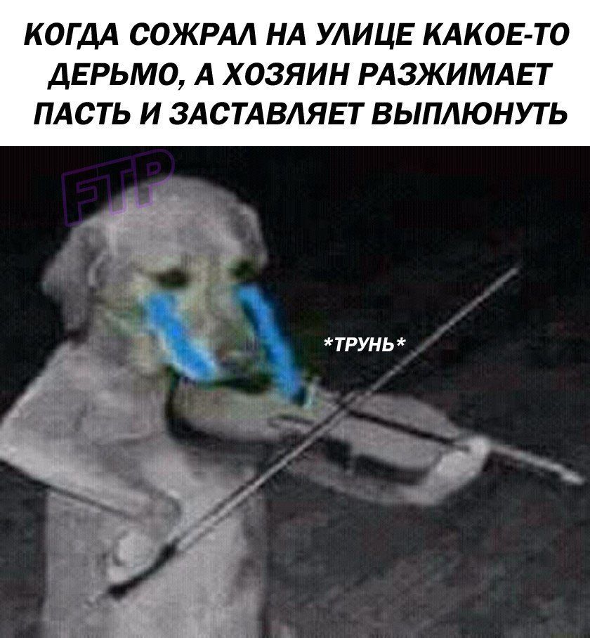 КОГДА СОЖРАЛ НА УЛИЦЕ КАКОЕ-ТО ДЕРЬМО, А ХОЗЯИН РАЗЖИМАЕТ ПАСТЬ И ЗАСТАВЛЯЕТ ВЫПЛЮНУТЬ *ТРУНЬ*
