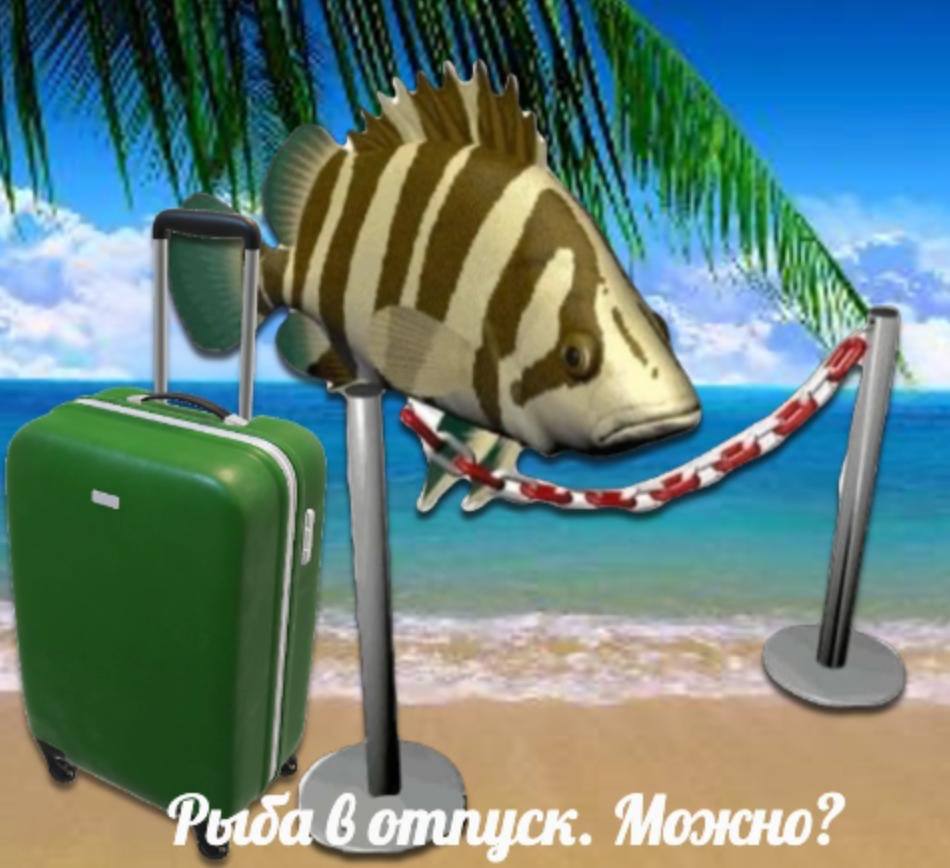 a и 4 о Рыба 6 опищек. Можно?