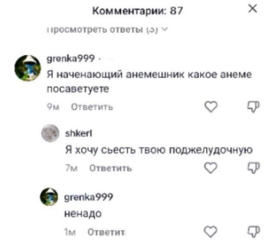 Комментарии: 87 ответы 15) grenka999 Я наченающий анемешник какое анеме посаветуете Ответить Я хочу сьесть твою поджелудочную Ответить ненадо Ответит