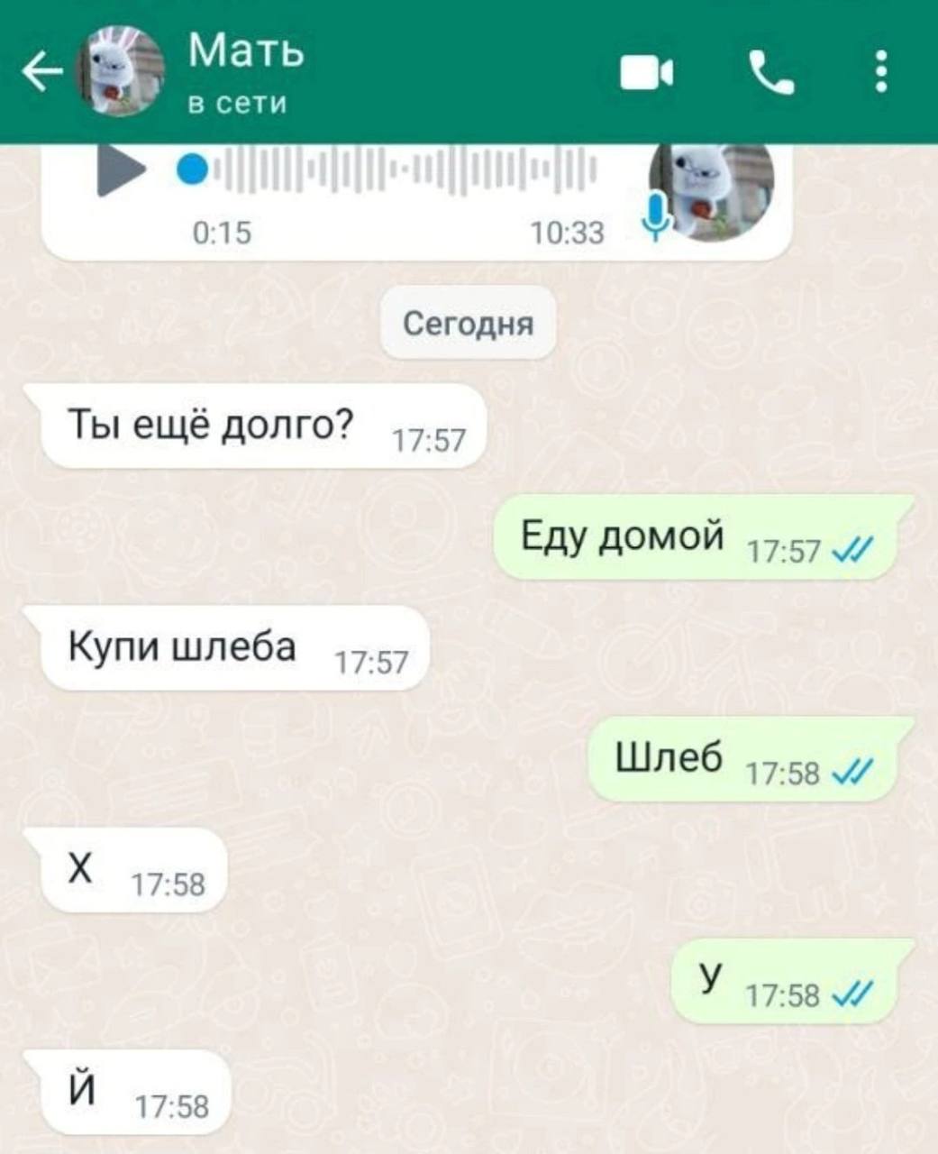 Мать в. в сети be 0:15 10:33 Сегодня Ты ещё долго? 17:57 ЕДУ ДОМОЙ Купи шлеба 17:57 Шлеб 17:58 17:58 17:58