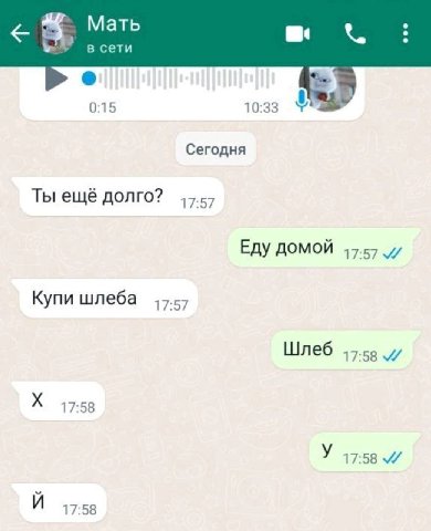 Мать в. в сети be 0:15 10:33 Сегодня Ты ещё долго? 17:57 ЕДУ ДОМОЙ Купи шлеба 17:57 Шлеб 17:58 17:58 17:58