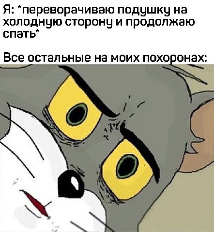Я: *переворачиваю подушку на холодную сторону и продолжаю спать* Все остальные на моих похоро