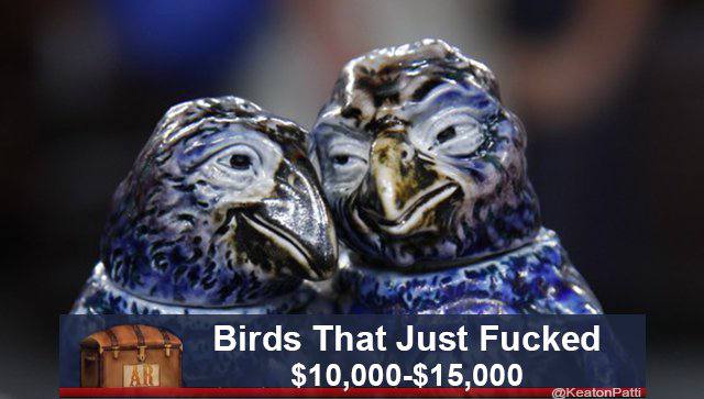 Birds That Just Fucked