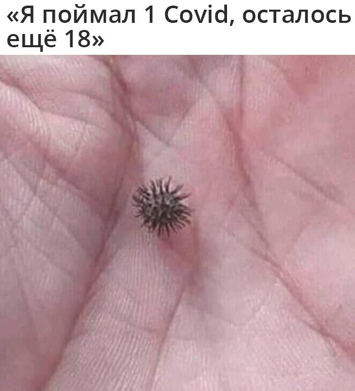 «Я поймал 1 Сома, осталось еще 18»