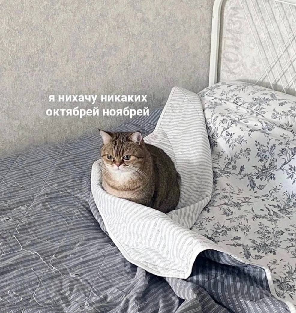 я нихачу никаких брей ноябрей октябр