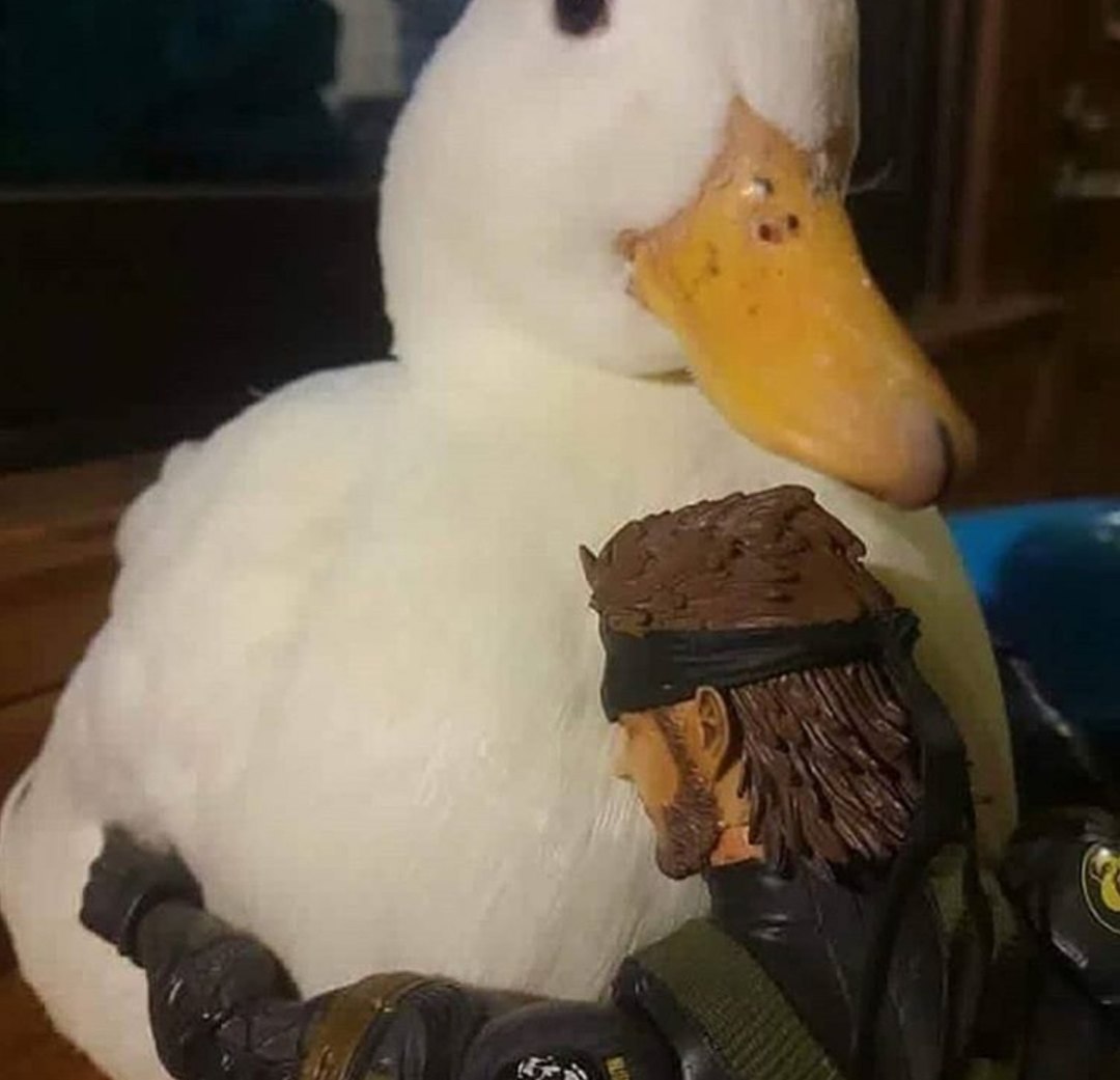 he я