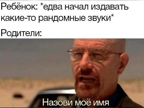 Ребёнок: *едва начал издавать какие-то рандомные звуки” Родители: Назови моё имя