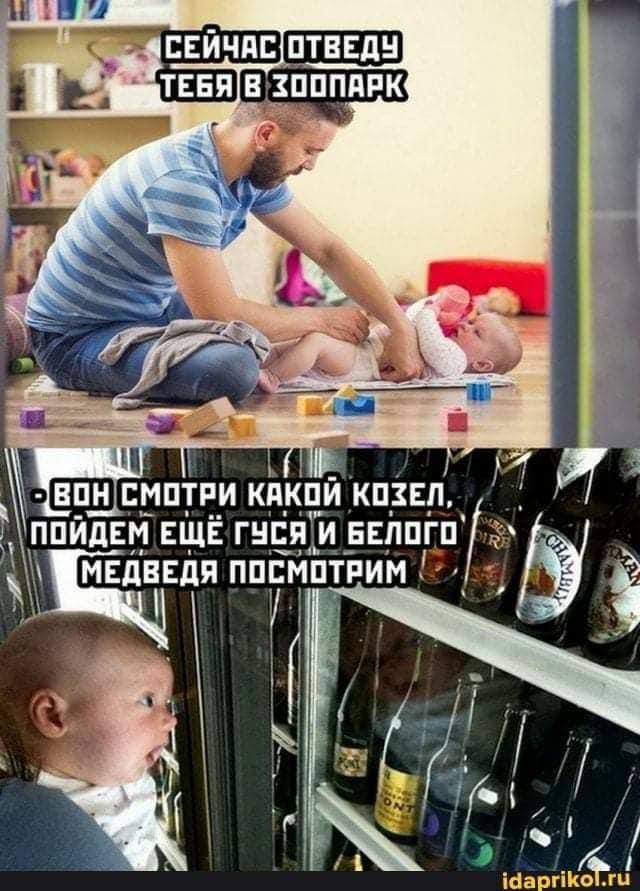 ОТВЕДУ В ЗООПАРК 7 МОТРИ КАКОЙ КОЗЕЛ, ПОЙДЕМ ЕЩЁ ГУСЯ и БЕЛОГО МЕДВЕДЯ ПОСМОТРИМ ON