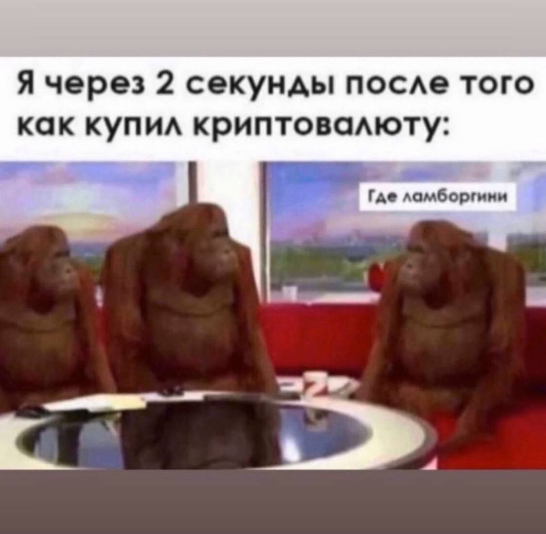 Я через 2 секунды после того как купил криптовалюту: Где ламборгини