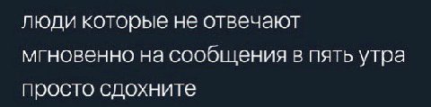 люди которые не отвечают мгновенно на сообщения в пять утра просто сдохните