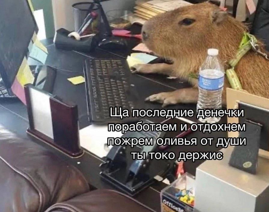 последние денечки поработаем и отдохнем пожрем оливья от души ты токо держис