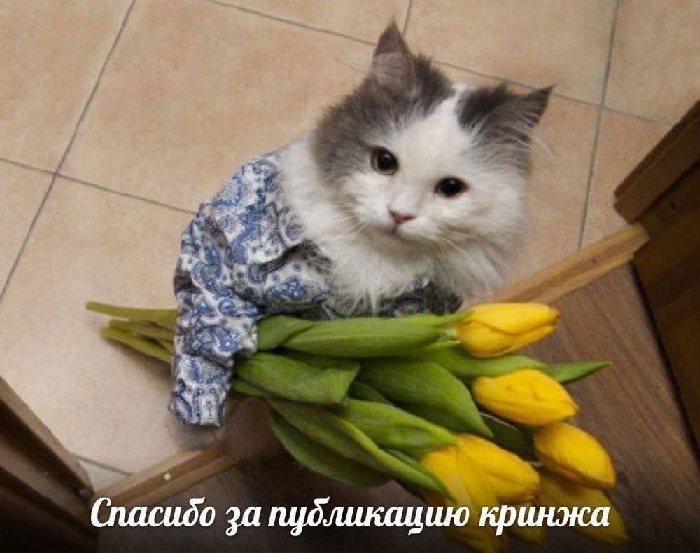 Спасибо за публикацию кринжа