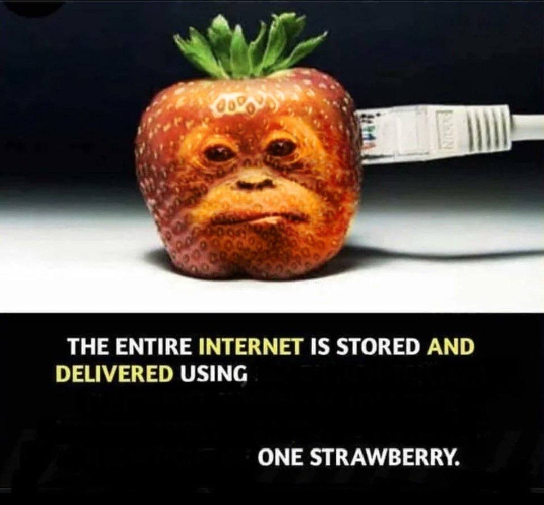 THE ENTIRE INTERNET IS STORED AND DELIVERED USING ONE STRAWBERRY.