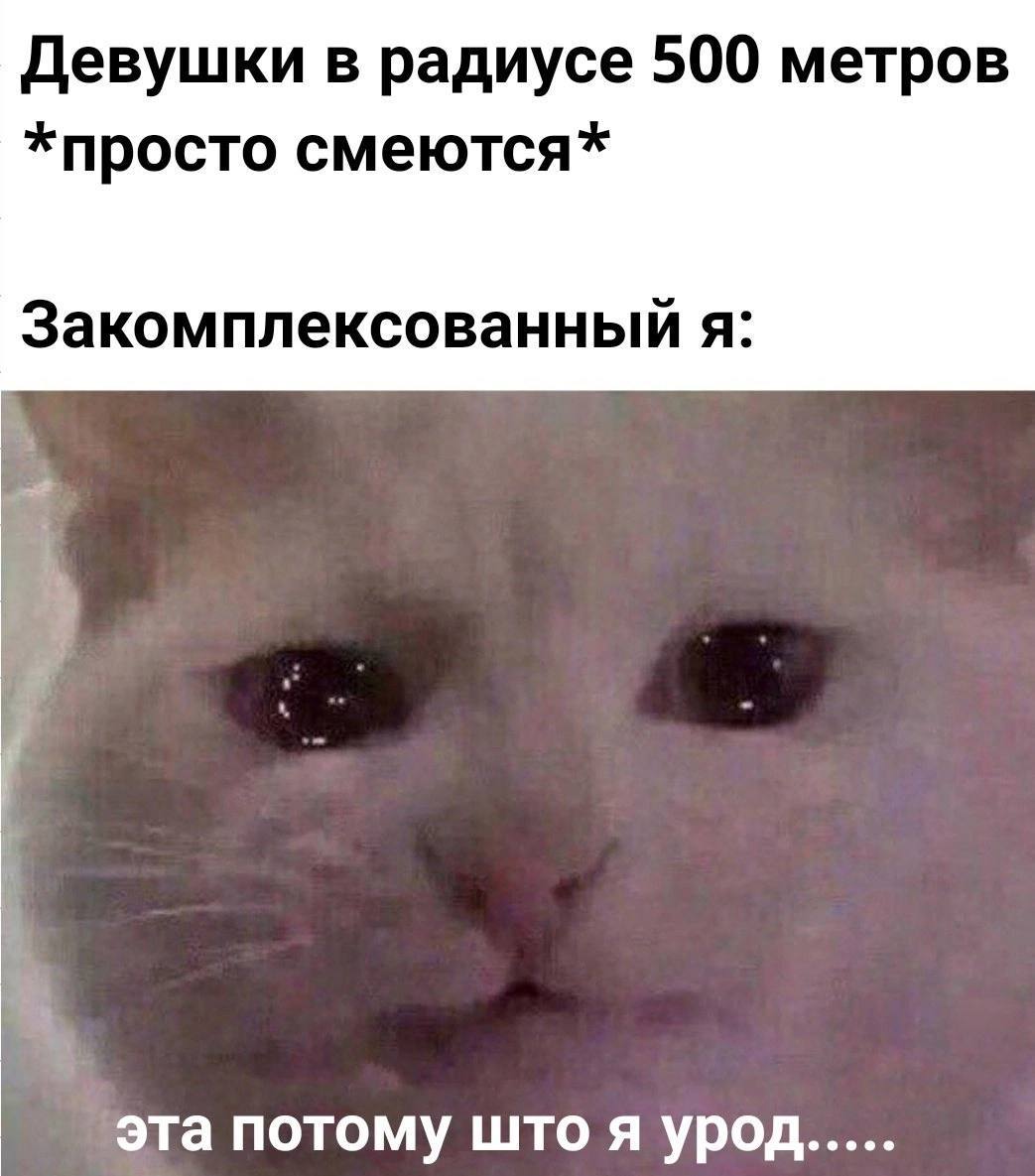 Девушки в радиусе 500 метров *просто смеются* Закомплексованный я: эта потому што я урод