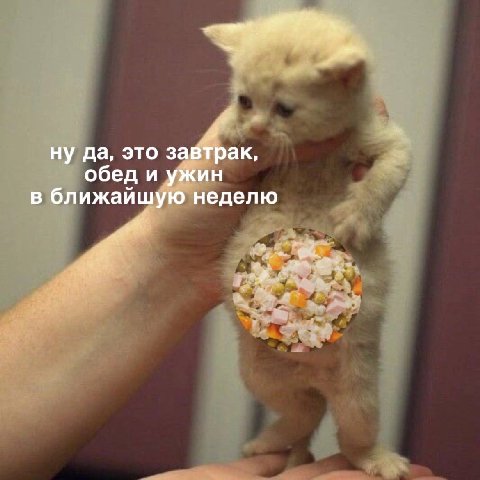ну да, это завтрак, обед и ужин в ближайшую неделю я