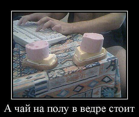 А чай на полу в ведре стоит