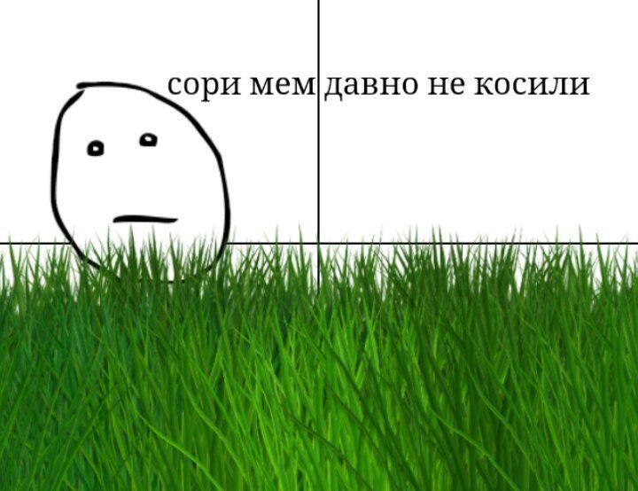 сори мем давно не косили