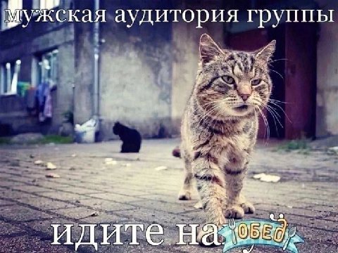 аудитория группы идите