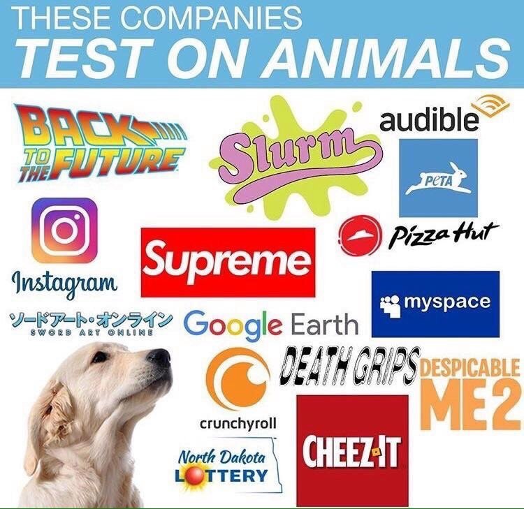 ТНЕЗЕ COMPANIES TEST ON ANIMALS Google Earth crunchyroll