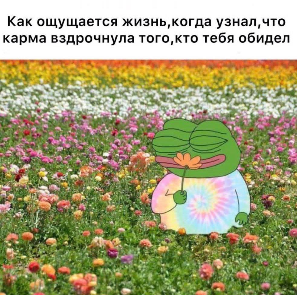 Как ощущается жизнь, когда узнал, что карма вздрочнула того,кто тебя обидел 3 ray?