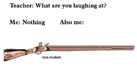 Teacher: What are you laughing at? Me: Nothing Also me: elon muskett