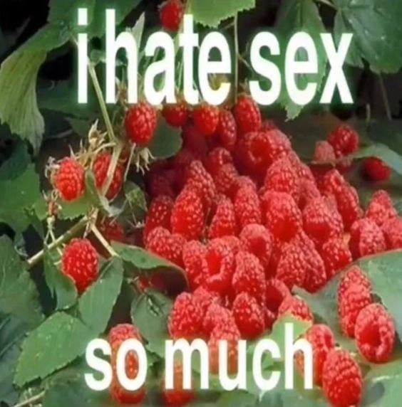 sex somuch