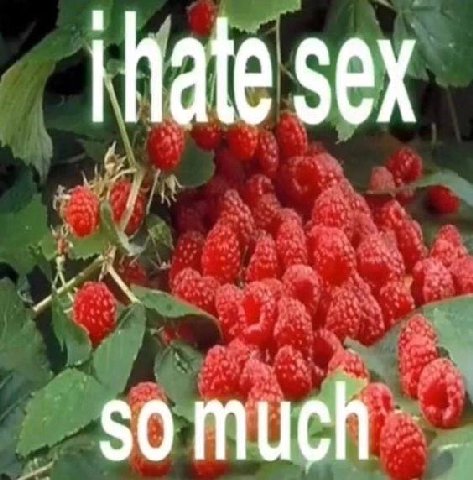 sex somuch