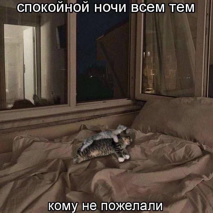 спокойной ночи всем тем кому не пожелали
