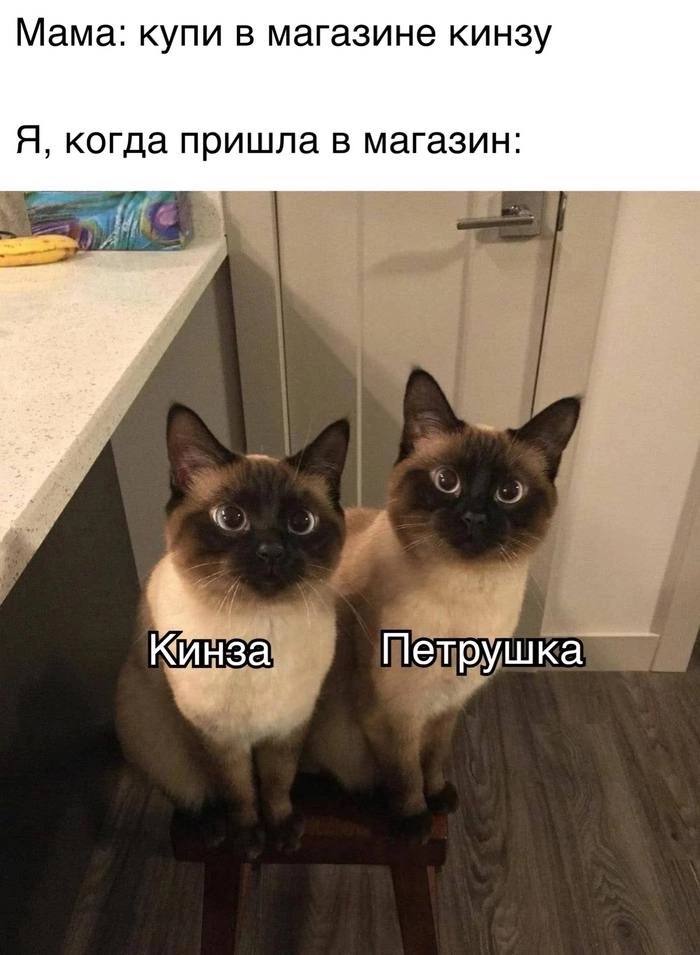Мама: купи в магазине кинзу Я, когда пришла в магазин: К «Инза Петрушка