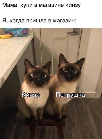 Мама: купи в магазине кинзу Я, когда пришла в магазин: К «Инза Петрушка
