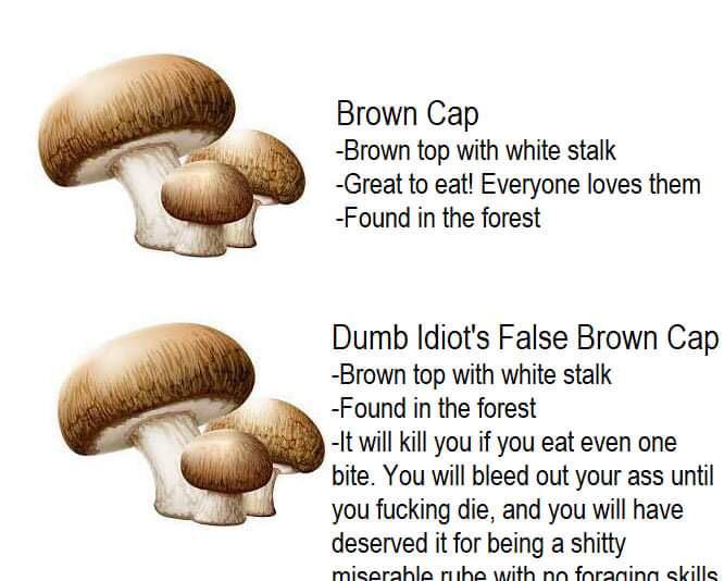 Brown Cap -Brown top with white stalk -Great to eat! Everyone loves them -Found in the forest Dumb Idiot's False Brown Cap -Brown top with white stalk -Found in the forest will kill you if you eat eve