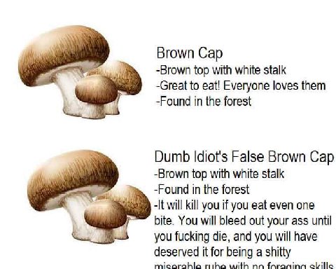 Brown Cap -Brown top with white stalk -Great to eat! Everyone loves them -Found in the forest Dumb Idiot's False Brown Cap -Brown top with white stalk -Found in the forest will kill you if you eat eve