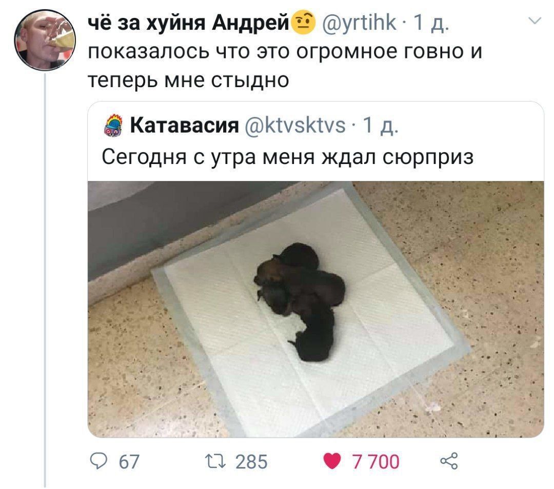чё за хуйня 1 показалось что это огромное говно и теперь мне стыдно Катавасия 1 Сегодня с утра меня ждал сюрприз 67 285 7700