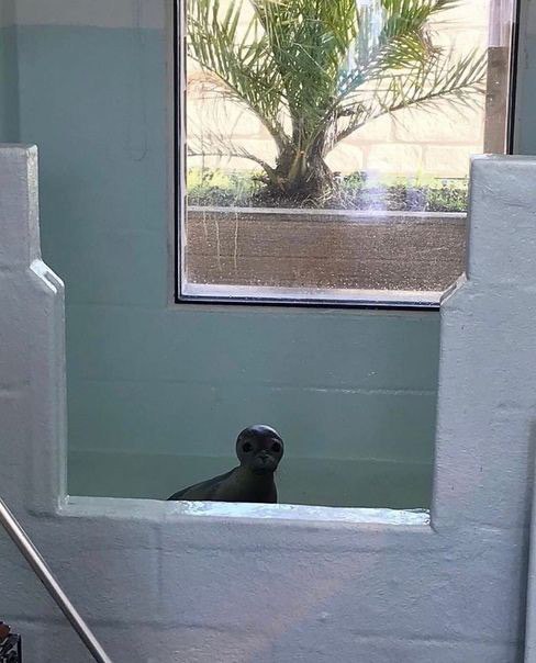 3 23 7