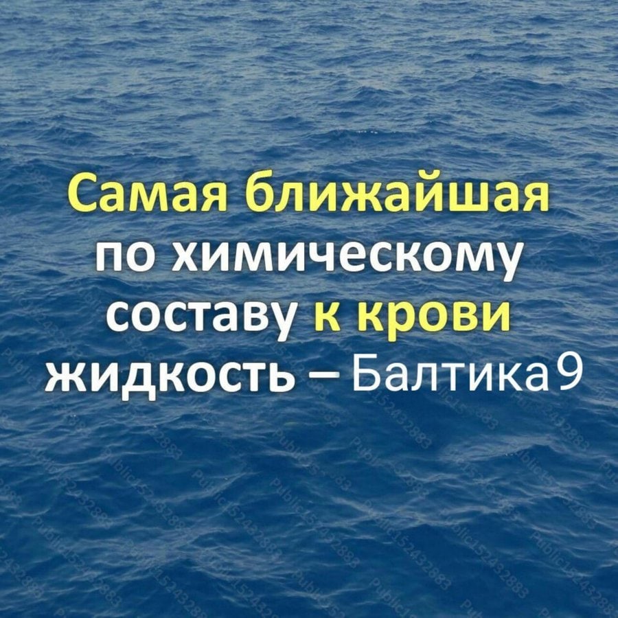Самая ближайшая по химическому составу к крови жидкость Балтика9