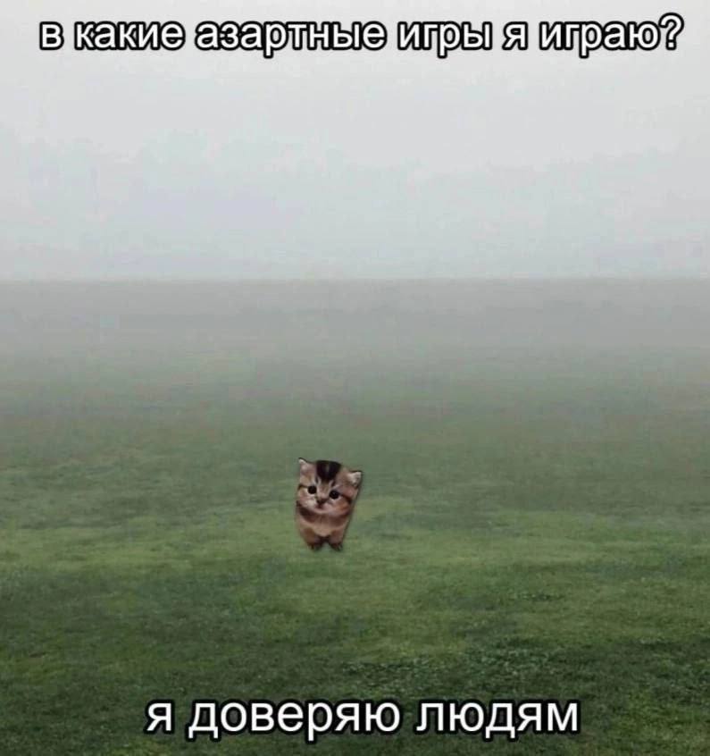 я доверяю людям