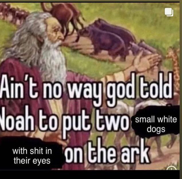 у all white CWO with shit in their eyes “onithe