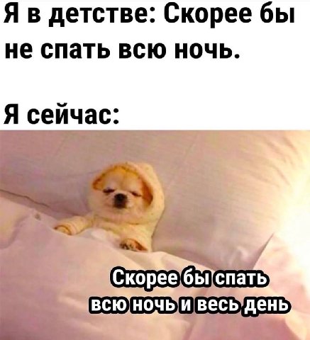 детстве: Скорее бы не спать всю ночь. Я сейчас: |спать
