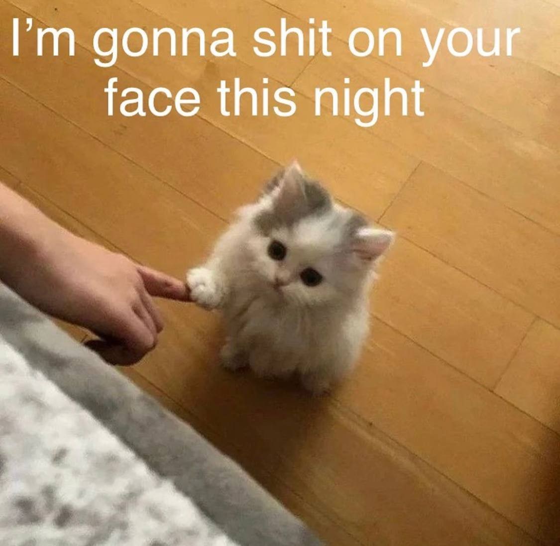 Рип gonna shit on your face this night
