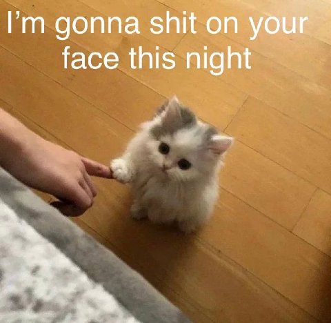 Рип gonna shit on your face this night